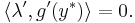 \langle \lambda', g'(y^*) \rangle = 0.