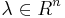 \lambda \in R^{n}